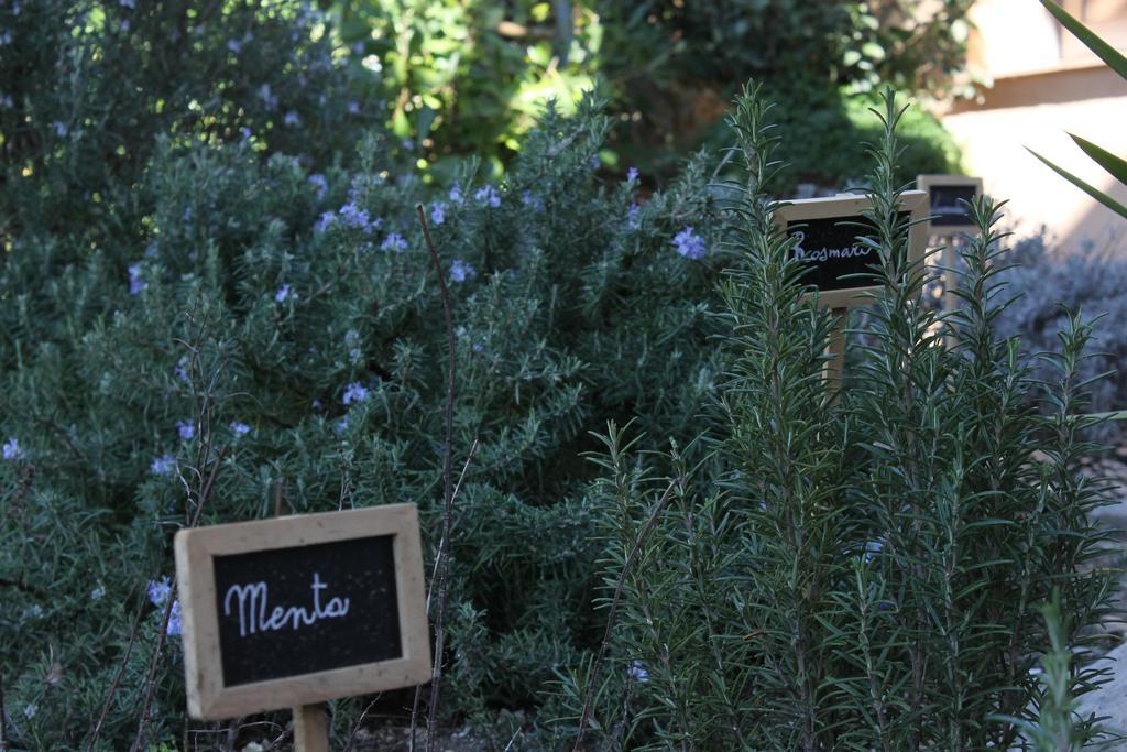 La Caladina Bed & Breakfast Mougins Eksteriør bilde
